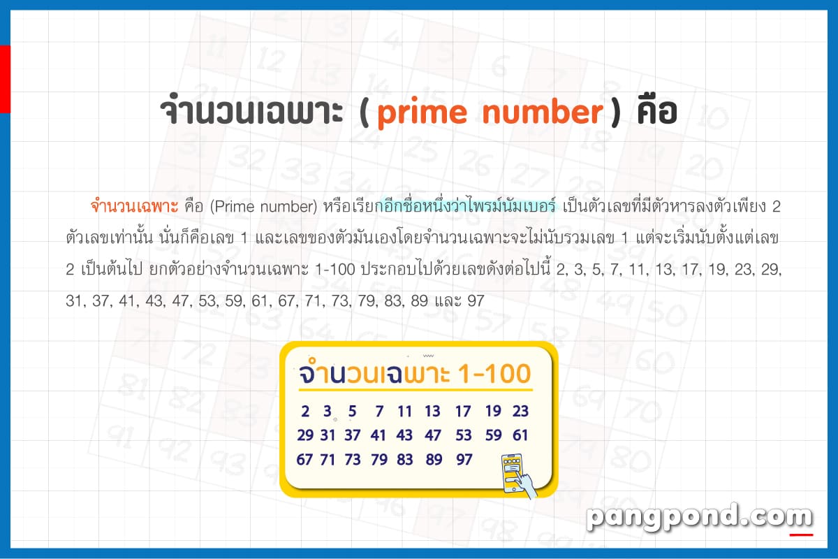 1-10000 จํานวนเฉพาะ คือ ตัวประกอบ นับ เลขคู่ | Pangpond