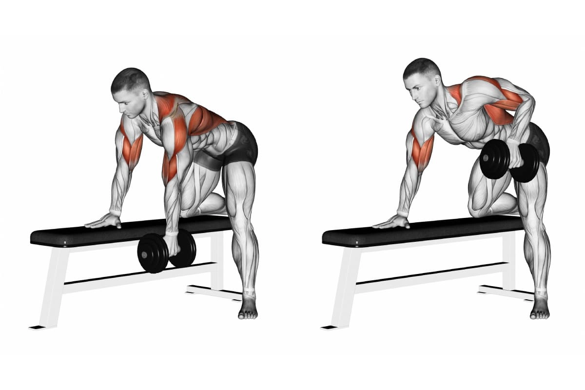 ท่ายกดัมเบล 9 เวท เทรนนิ่ง เล่น ชุด ออกกําลังกาย PANGpOnd