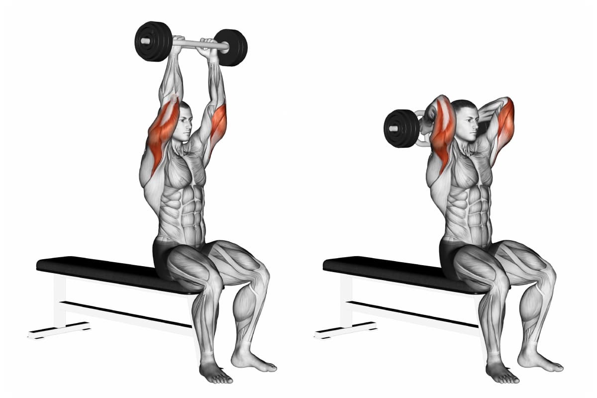 Over Head Dumbbell Triceps Extension