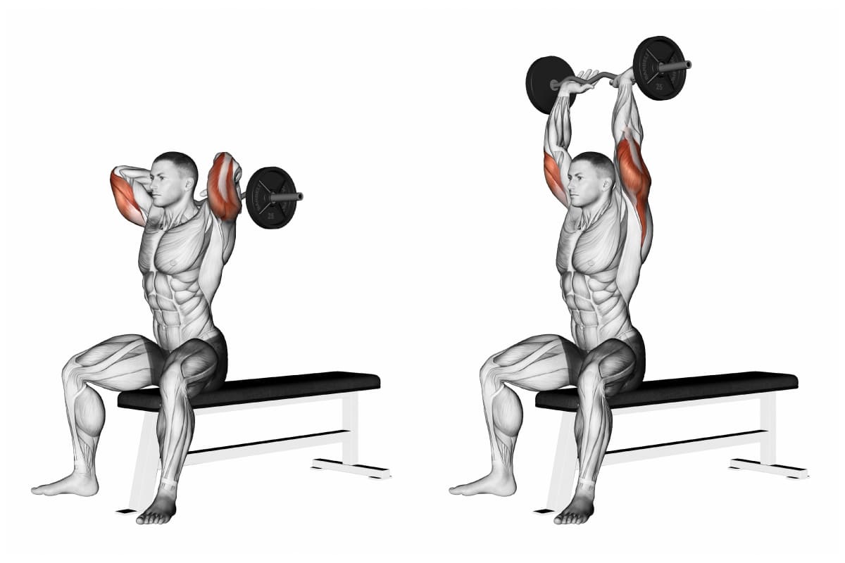Over Head Dumbbell Triceps